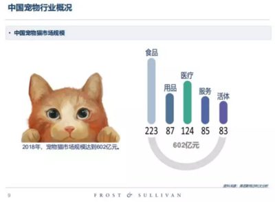 高收入、高學(xué)歷的單身人群，養(yǎng)寵前請先算清這筆賬