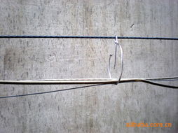 網絡線 連接數字世界的核心布線產品