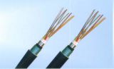 焦作鐵路電纜工廠 漏泄同軸電纜產品信息與批發優勢
